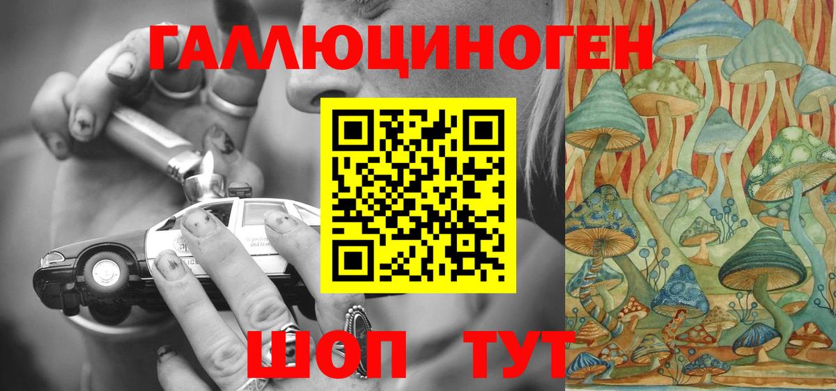 Галлюциногенные грибы Magic Shrooms  Галлюциногенные грибы Cubensis  Вход с VPN  Новошахтинск 