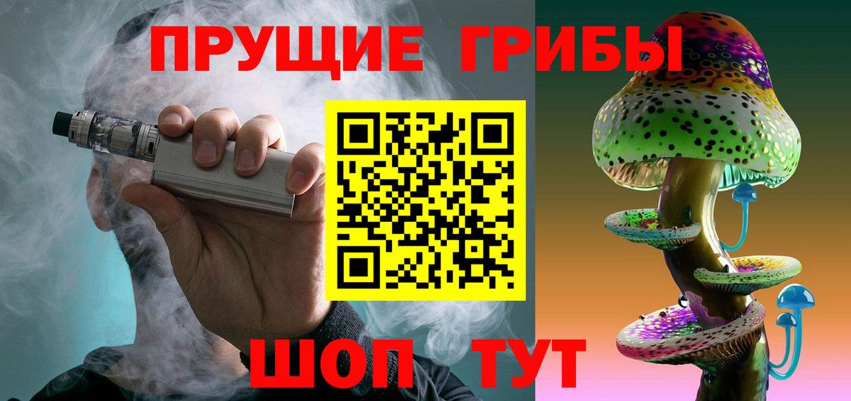 Галлюциногенные грибы Psilocybe Новошахтинск